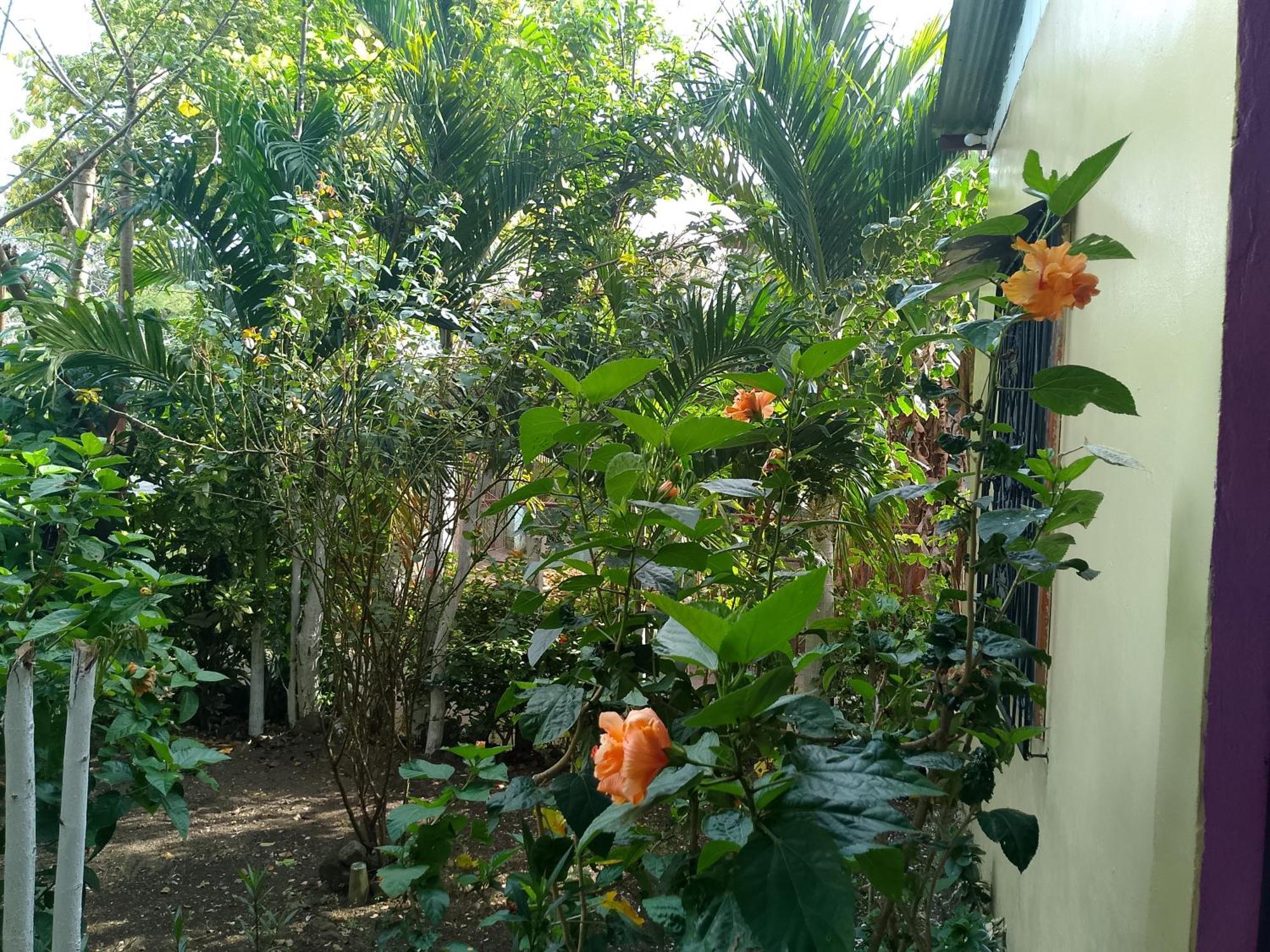The Malinche Hostal リバス エクステリア 写真